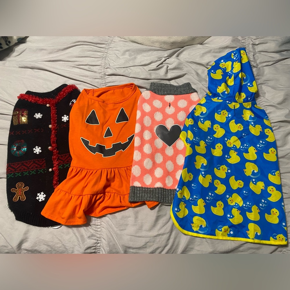 Dog clothes bundle